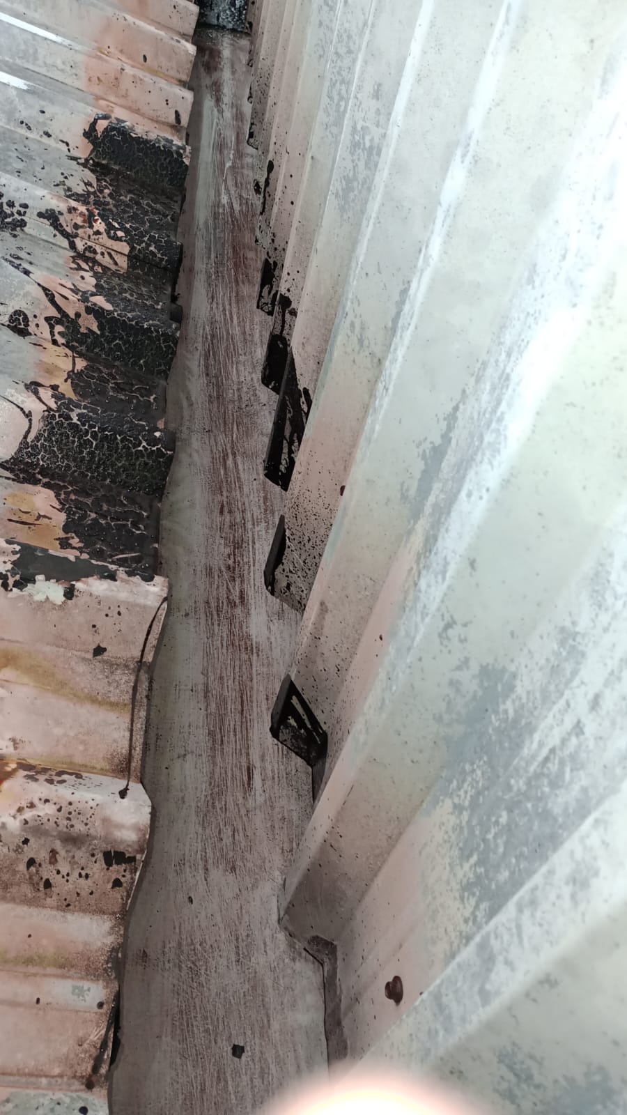 LIMPEZA DE CALHAS (4).jpeg