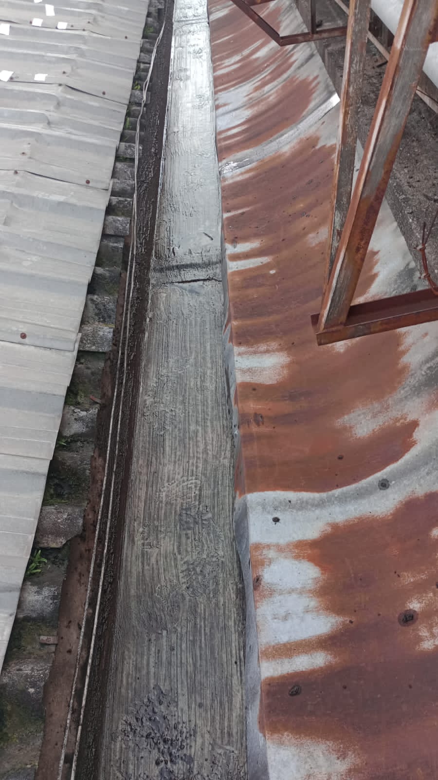 LIMPEZA DE CALHAS (7).jpeg