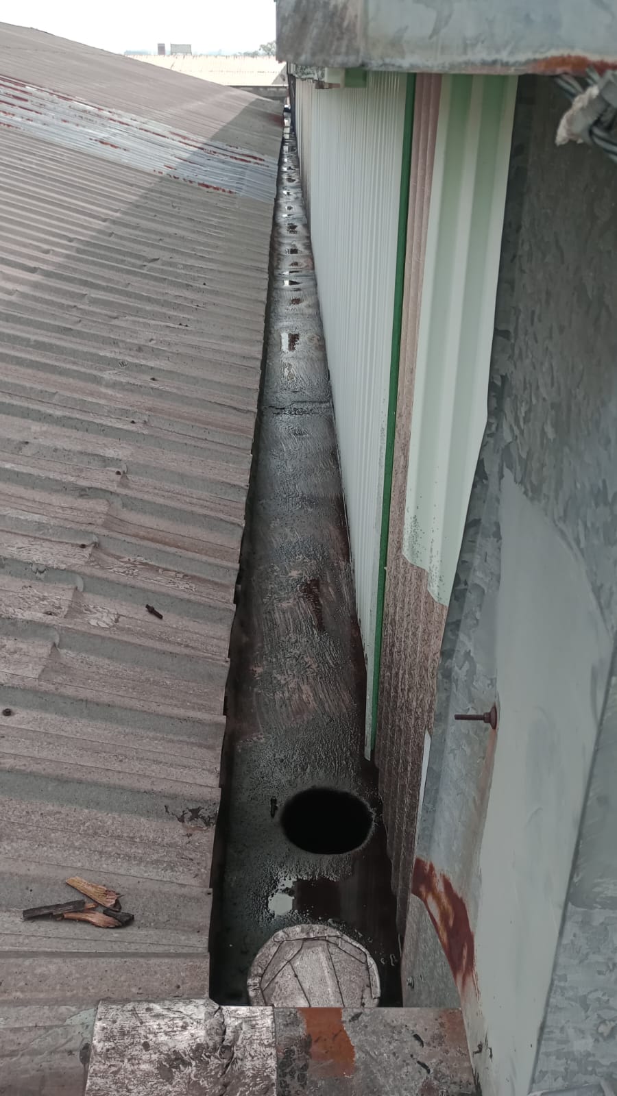 LIMPEZA DE CALHAS (3).jpeg