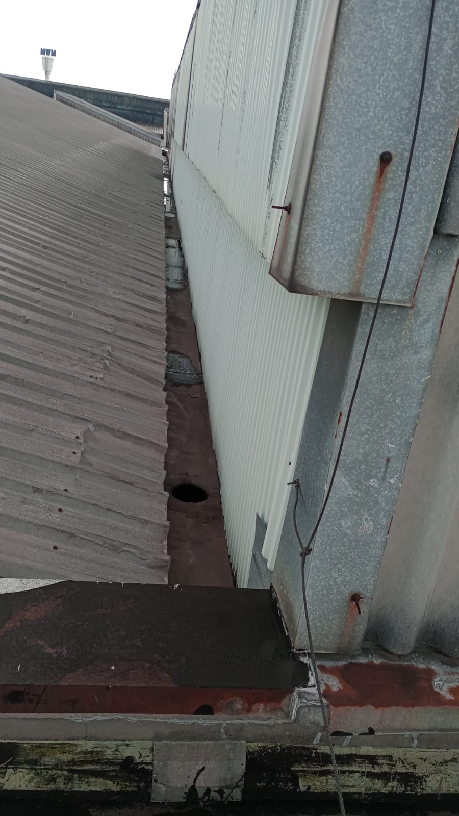 LIMPEZA DE CALHAS (5).jpeg