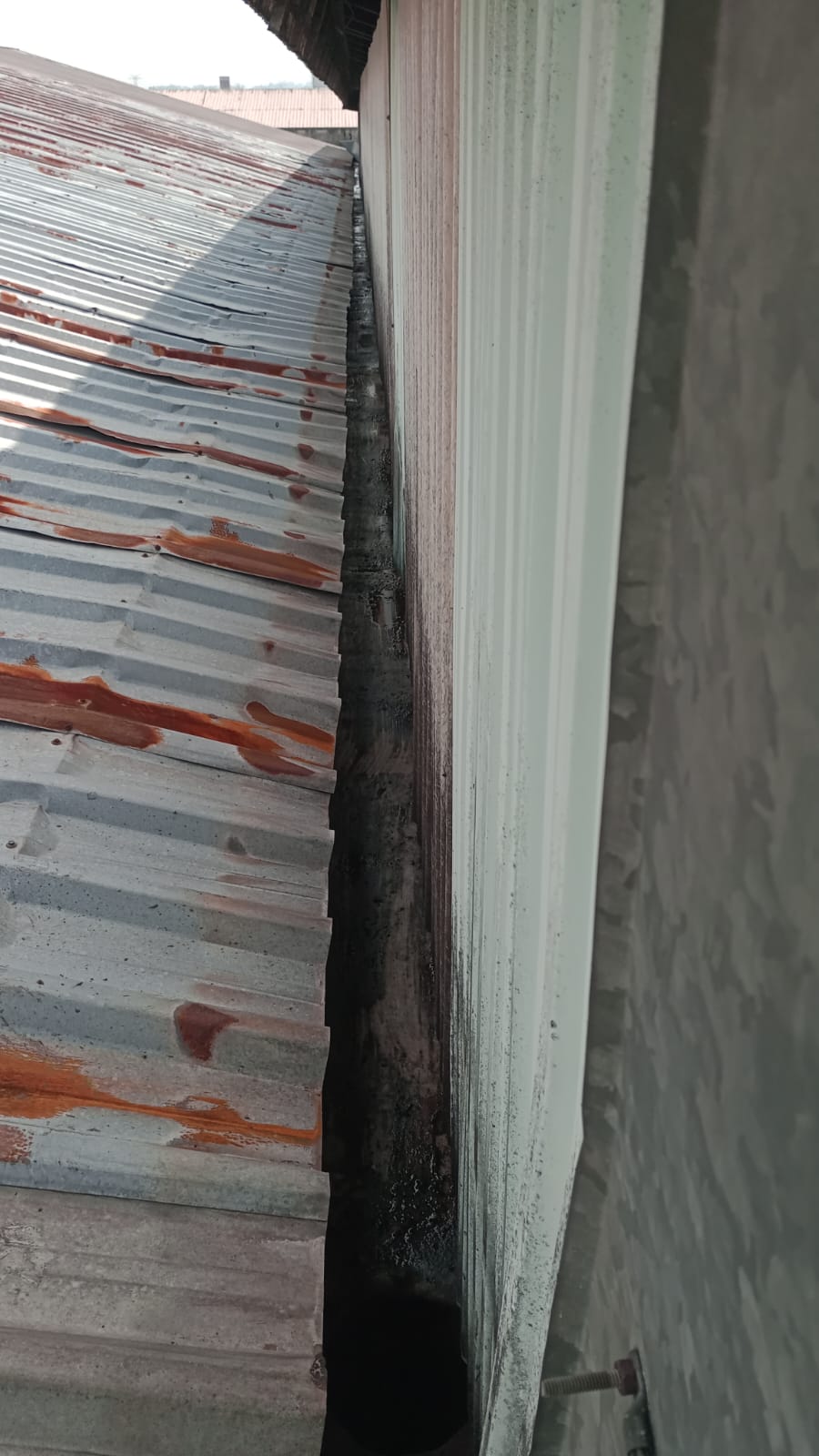 LIMPEZA DE CALHAS (2).jpeg