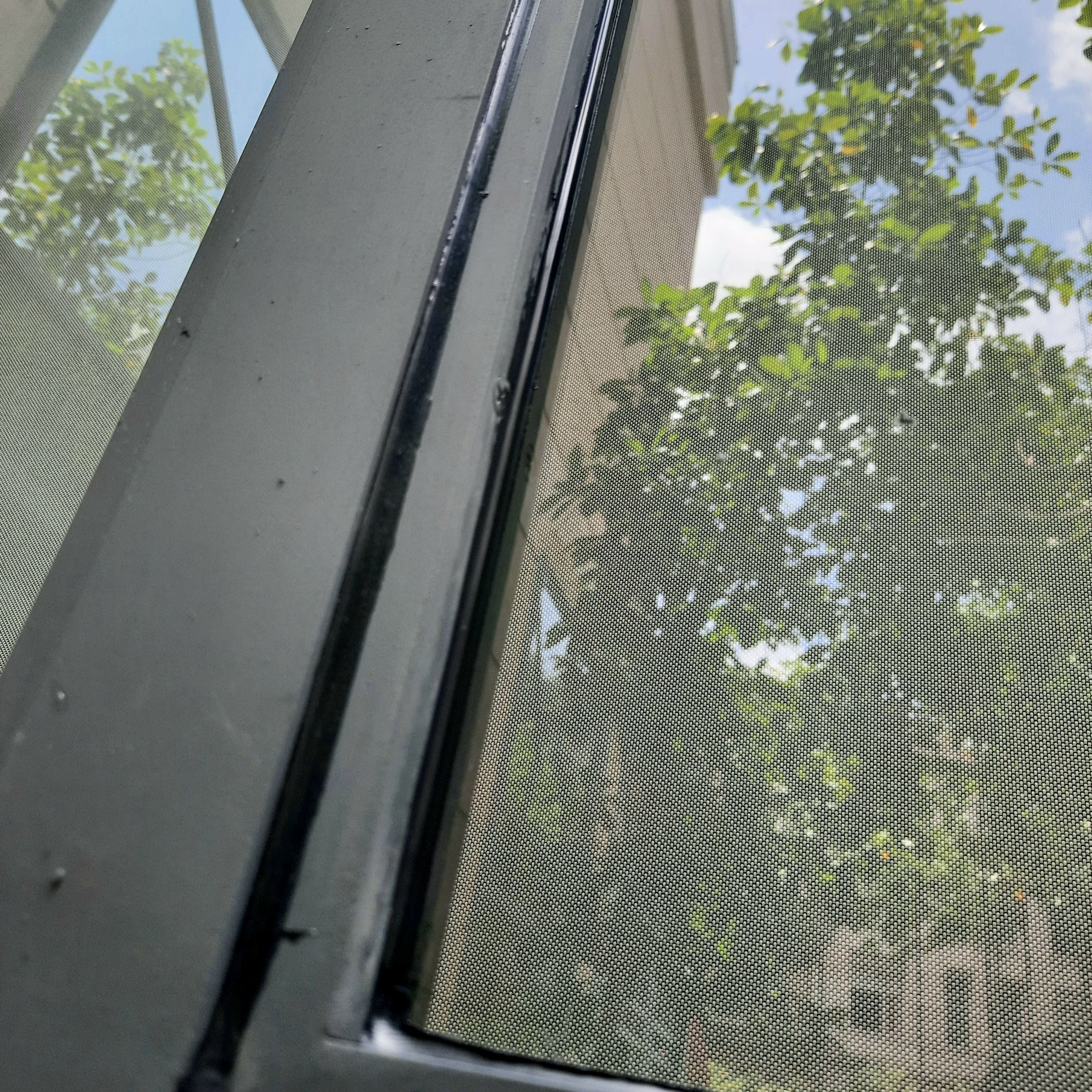 20220207_141006 (1).jpg